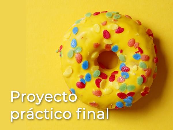 Proyecto práctico final